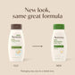 Aveeno Daily Moisturizing Body Wash, 12 Fl. Oz, Pack of 3